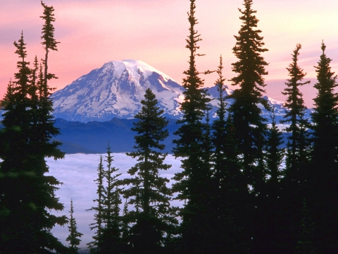 Mount Rainier_ Washington.jpg -   